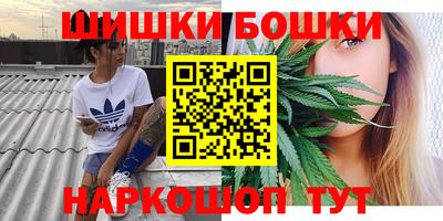 тгк Долгопрудный