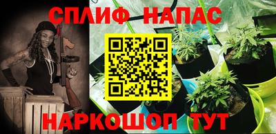 тгк Долгопрудный