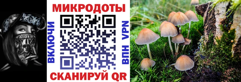 Псилоцибиновые грибы мицелий  дарнет шоп  Кондопога 