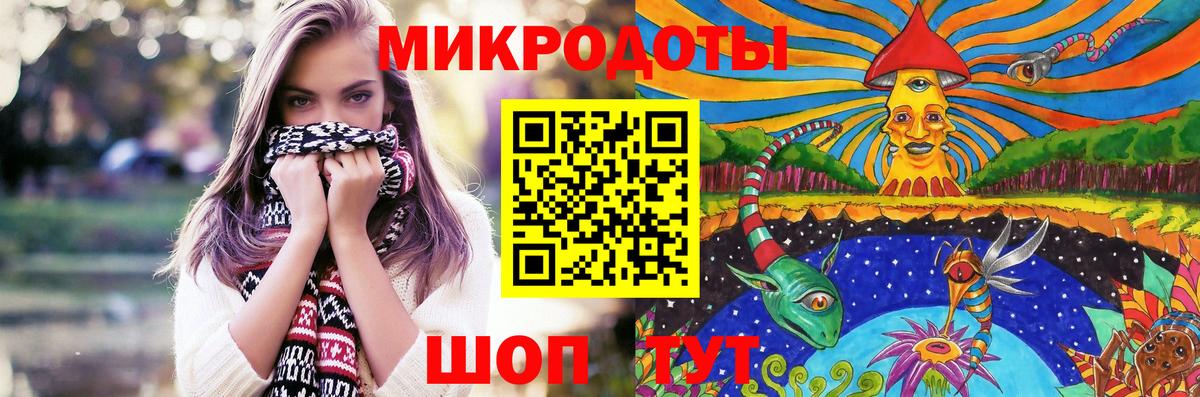 Псилоцибиновые грибы Cubensis Кондопога