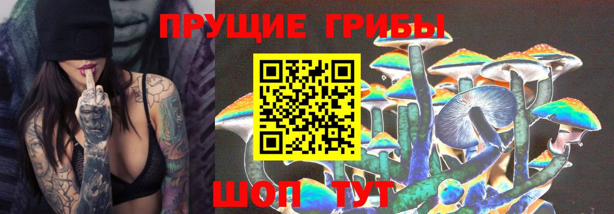 Псилоцибиновые грибы Psilocybe  цены   Галлюциногенные грибы мухоморы  Кондопога  Вход с VPN 
